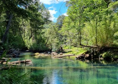 LA CHIRA - SAN MARTIN DE LOS ANDES 18