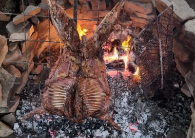 LA CHIRA - SAN MARTIN DE LOS ANDES 22