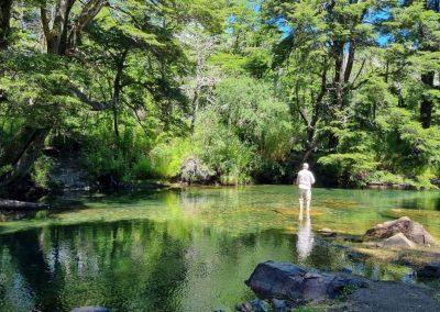 LA CHIRA - SAN MARTIN DE LOS ANDES 29