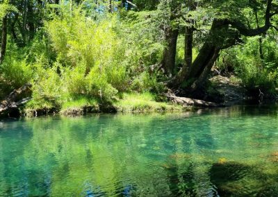 LA CHIRA - SAN MARTIN DE LOS ANDES 40